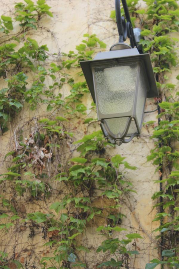 La Cour Villa Lourmarin Eksteriør billede